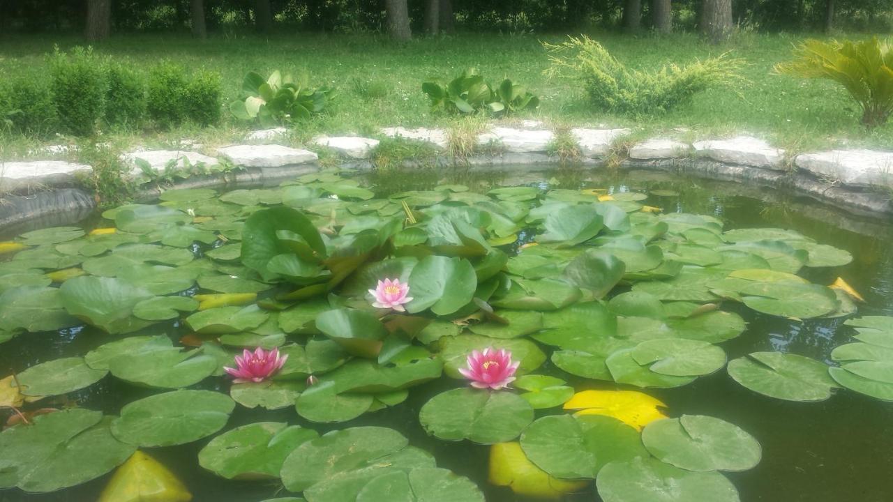B & B Casal Pereto Valmontone Zewnętrze zdjęcie