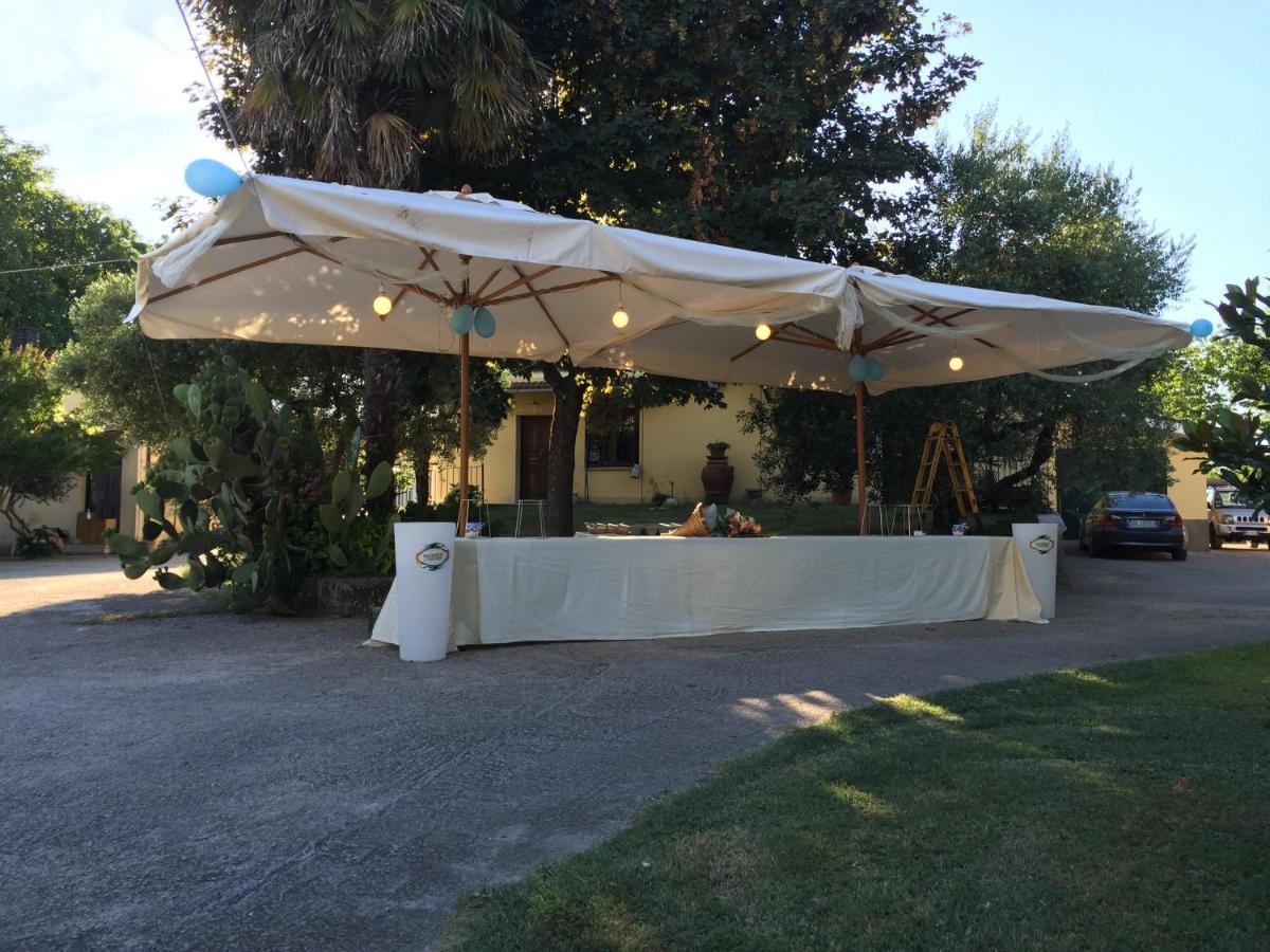 B & B Casal Pereto Valmontone Zewnętrze zdjęcie