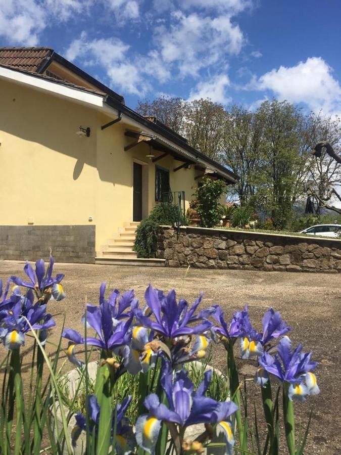 B & B Casal Pereto Valmontone Zewnętrze zdjęcie