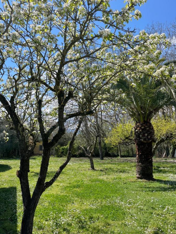 B & B Casal Pereto Valmontone Zewnętrze zdjęcie