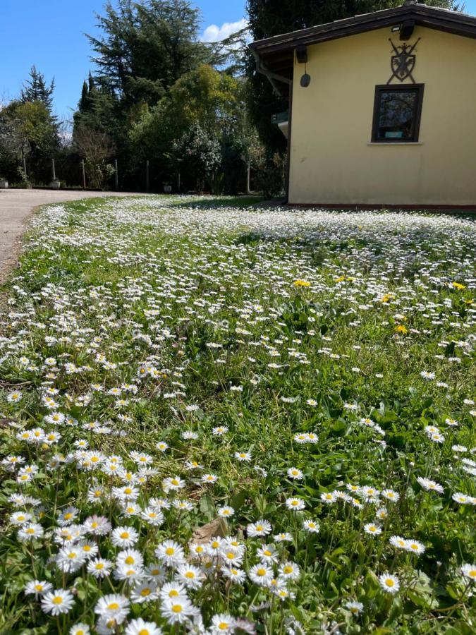 B & B Casal Pereto Valmontone Zewnętrze zdjęcie